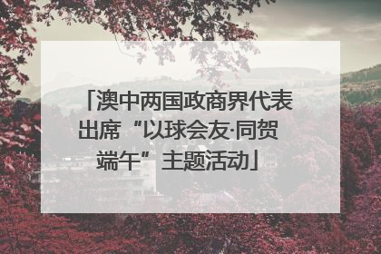 澳中两国政商界代表出席“以球会友·同贺端午”主题活动