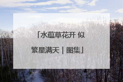 水蕴草花开 似繁星满天｜图集