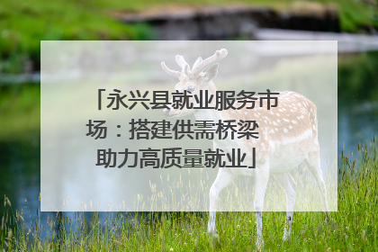 永兴县就业服务市场：搭建供需桥梁 助力高质量就业