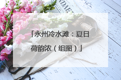 永州冷水滩：夏日荷韵浓（组图）