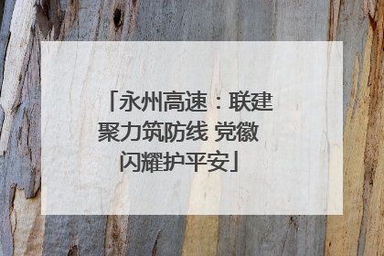 永州高速：联建聚力筑防线 党徽闪耀护平安