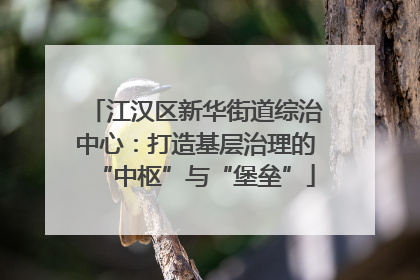 江汉区新华街道综治中心：打造基层治理的“中枢”与“堡垒”