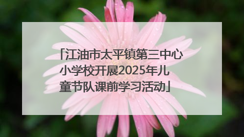 江油市太平镇第三中心小学校开展2025年儿童节队课前学习活动
