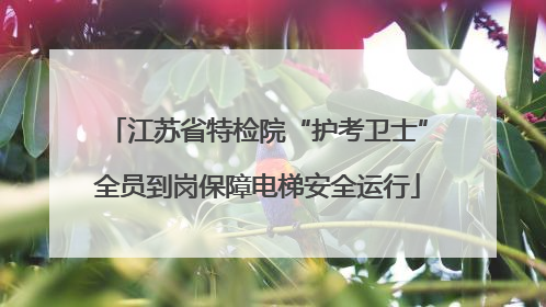 江苏省特检院“护考卫士”全员到岗保障电梯安全运行