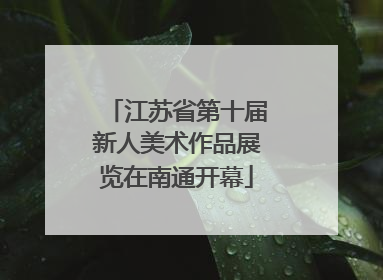江苏省第十届新人美术作品展览在南通开幕