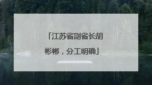 江苏省副省长胡彬郴，分工明确