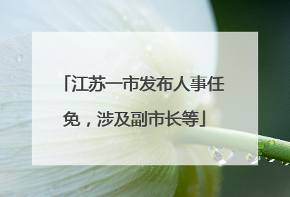 江苏一市发布人事任免，涉及副市长等