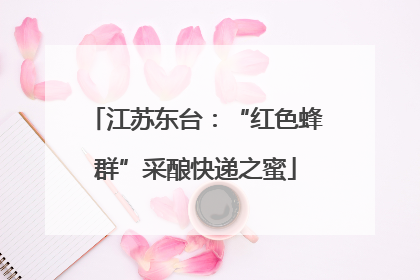 江苏东台：“红色蜂群”采酿快递之蜜