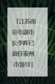 江苏南京市副市长李晖已调任泰州市领导