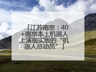 江苏南京：40+南京本土机器人上演现实版的“机器人总动员”