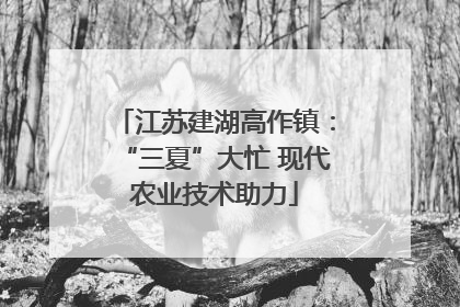 江苏建湖高作镇：“三夏”大忙 现代农业技术助力