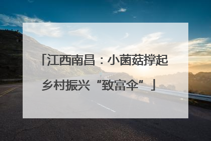 江西南昌：小菌菇撑起乡村振兴“致富伞”