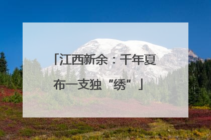 江西新余：千年夏布一支独“绣”