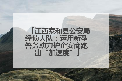 江西泰和县公安局经侦大队：运用新型警务助力护企安商跑出“加速度”