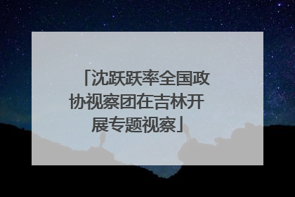 沈跃跃率全国政协视察团在吉林开展专题视察