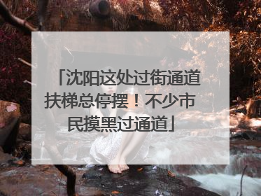 沈阳这处过街通道扶梯总停摆！不少市民摸黑过通道