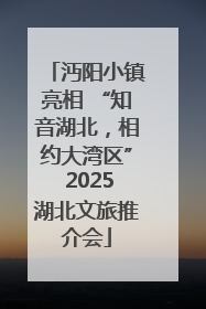 沔阳小镇亮相 “知音湖北，相约大湾区” 2025湖北文旅推介会