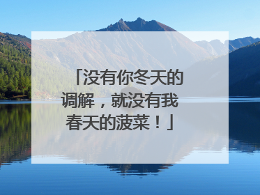 没有你冬天的调解，就没有我春天的菠菜！