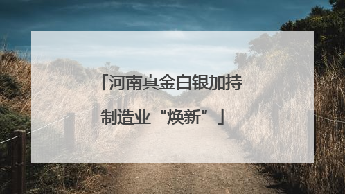 河南真金白银加持制造业“焕新”