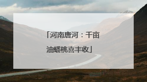 河南唐河：千亩油蟠桃喜丰收