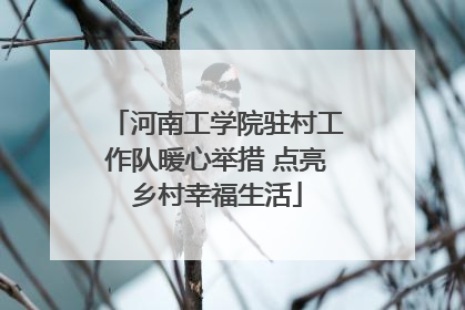 河南工学院驻村工作队暖心举措 点亮乡村幸福生活