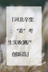 河北辛集：“麦”考生实收测产创新高