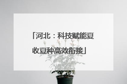 河北：科技赋能夏收夏种高效衔接