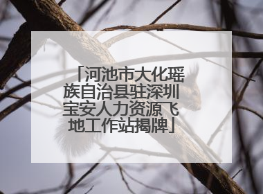 河池市大化瑶族自治县驻深圳宝安人力资源飞地工作站揭牌