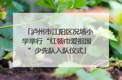 泸州市江阳区况场小学举行“红领巾爱祖国”少先队入队仪式