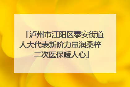 泸州市江阳区泰安街道人大代表新阶力量润桑梓 二次医保暖人心