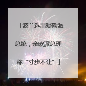 波兰选出疑欧派总统，亲欧派总理称“寸步不让”