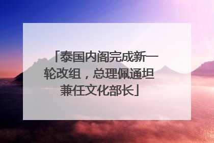 泰国内阁完成新一轮改组，总理佩通坦兼任文化部长