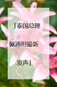 泰国总理佩通坦最新发声
