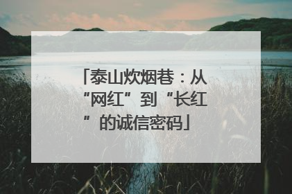 泰山炊烟巷：从“网红”到“长红”的诚信密码