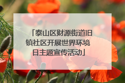 泰山区财源街道旧镇社区开展世界环境日主题宣传活动