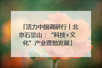 活力中国调研行丨北京石景山：“科技+文化”产业蓬勃发展