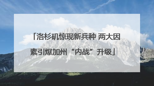 洛杉矶惊现新兵种 两大因素引爆加州“内战”升级