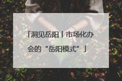 洞见岳阳丨市场化办会的“岳阳模式”