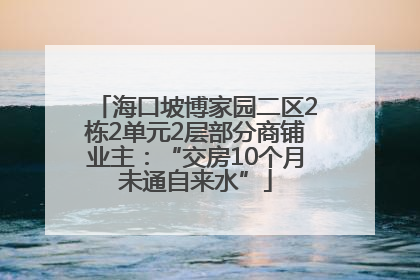 海口坡博家园二区2栋2单元2层部分商铺业主：“交房10个月未通自来水”