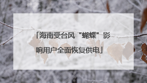 海南受台风“蝴蝶”影响用户全面恢复供电