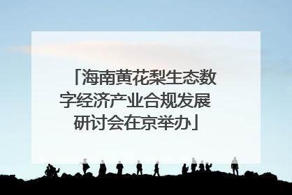 海南黄花梨生态数字经济产业合规发展研讨会在京举办
