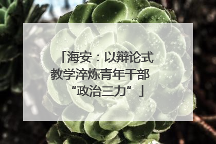 海安：以辩论式教学淬炼青年干部“政治三力”