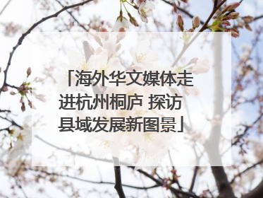 海外华文媒体走进杭州桐庐 探访县域发展新图景