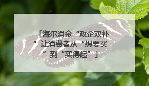 海尔消金“政企双补”让消费者从“想要买”到“买得起”