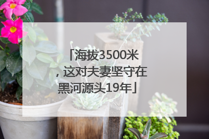 海拔3500米，这对夫妻坚守在黑河源头19年