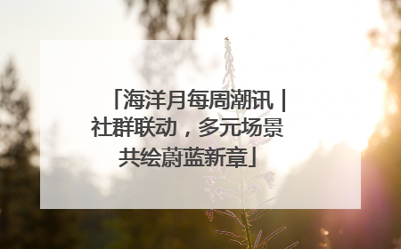 海洋月每周潮讯｜社群联动，多元场景共绘蔚蓝新章