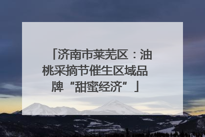济南市莱芜区：油桃采摘节催生区域品牌“甜蜜经济”