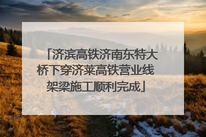 济滨高铁济南东特大桥下穿济莱高铁营业线架梁施工顺利完成
