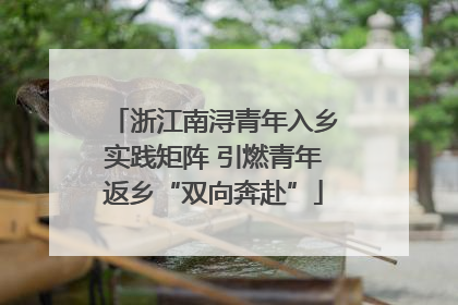 浙江南浔青年入乡实践矩阵 引燃青年返乡“双向奔赴”