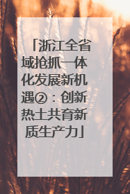 浙江全省域抢抓一体化发展新机遇②：创新热土共育新质生产力